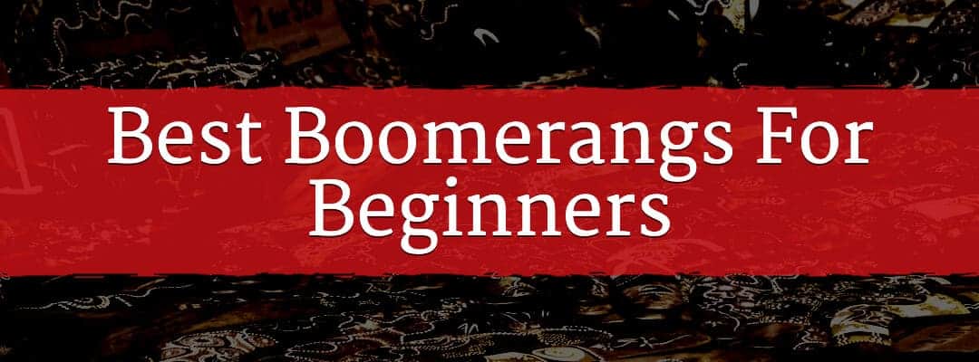 Best Boomerangs For Beginners